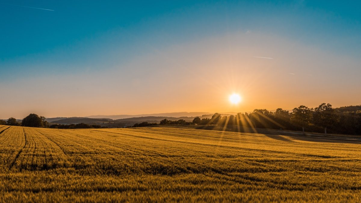 La terre nous est confiée : écologie et alimentation